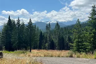 3523 Lost Mountain Rd, Sequim, WA 98382 - Photo 1