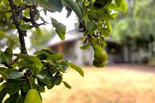 219 SW 305th St, Federal Way, WA 98023 - Photo 1