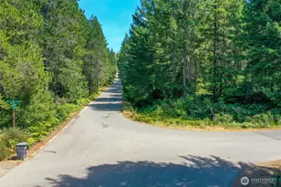 0 NE Hurd Rd, Belfair, WA 98528 - Photo 1