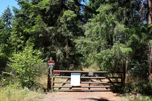 16615 Williams Ln SW, Rochester, WA 98579 - Photo 1