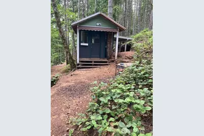 1910 N Dow Mountain Road, Hoodsport, WA 98548 - Photo 1