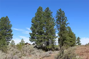 202 Falcon Ridge Rd, East Wenatchee, WA 98802 - Photo 1