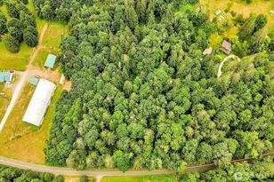 0 Reese Hill Rd, Sumas, WA 98295 - Photo 1