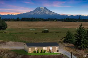 29531 48th Ave S, Roy, WA 98580 - Photo 1