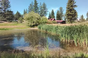 41 Balsam Dr, Tonasket, WA 98855 - Photo 1