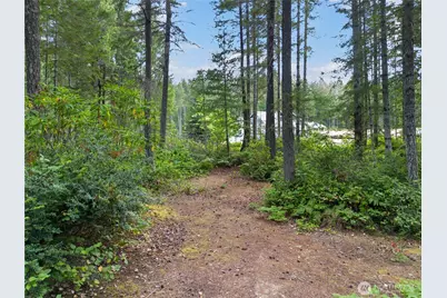 190 NE Pine Camp Road, Belfair, WA 98528 - Photo 1