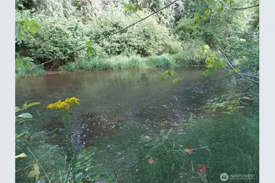 16548 Village Drive SE, Rainier, WA 98576 - Photo 1