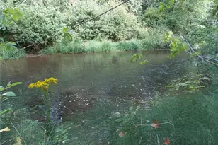 16548 Village Dr SE, Rainier, WA 98576 - Photo 1