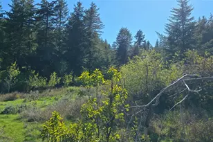 112 Ellemeham Mountain, Oroville, WA 98844 - Photo 1