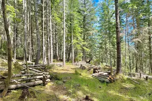 0 Pioneer Hill Rd Lot B, Orcas Island, WA 98279 - Photo 1