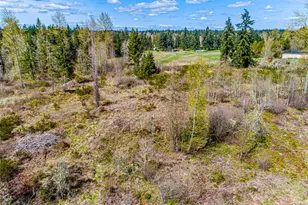 0 40th Ave S, Roy, WA 98580 - Photo 1