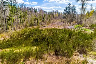 1 40th Ave S, Roy, WA 98580 - Photo 1