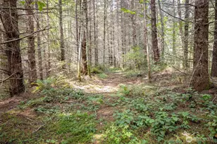 101 Durrwachter, Port Angeles, WA 98363 - Photo 1