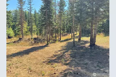 143 Homer Lane, Chehalis, WA 98532 - Photo 1