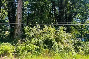 2 Lot Cape Horn Dr, Concrete, WA 98237 - Photo 1