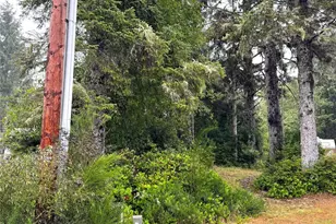 815 Scaup Ct SE, Ocean Shores, WA 98569 - Photo 1