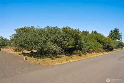 465 Octopus Avenue NE, Ocean Shores, WA 98569 - Photo 1
