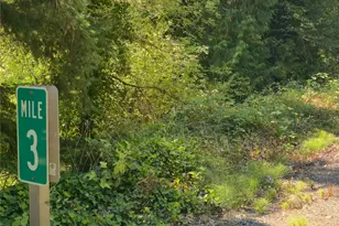 38025 Orville Rd E, Eatonville, WA 98360 - Photo 1