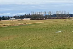 1429 W Badger, Custer, WA 98240 - Photo 1