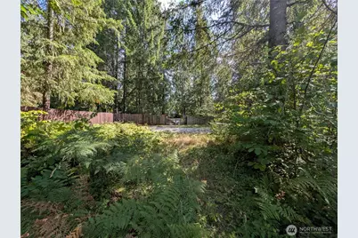 46017 Baker Drive, Concrete, WA 98237 - Photo 1