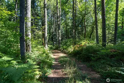 16404 Village Drive SE, Rainier, WA 98576 - Photo 1