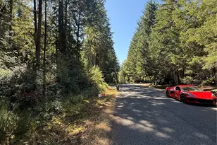 12904 Silver Dr, Anderson Island, WA 98303 - Photo 1