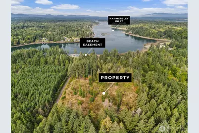 641 E Libby Road, Shelton, WA 98584 - Photo 1