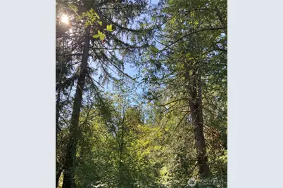 0 Xx 73rd Avenue NE, Olympia, WA 98506 - Photo 1