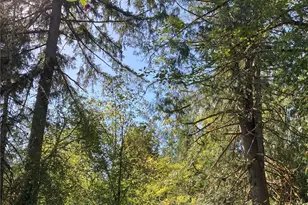 601 73rd Ave NE, Olympia, WA 98506 - Photo 1