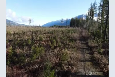 9523 Heady Road, Sumas, WA 98295 - Photo 1