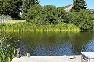 356 N Butter Clam Street SW, Ocean Shores, WA 98569 - Photo 1