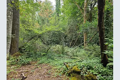 0 Xxxx Libby Road NE, Olympia, WA 98506 - Photo 1