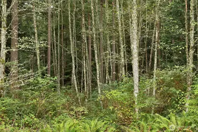 4757 Whale Pass Way, Langley, WA 98260 - Photo 1