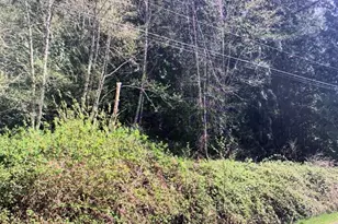 1417 Lake Roesiger Dr, Snohomish, WA 98290 - Photo 1