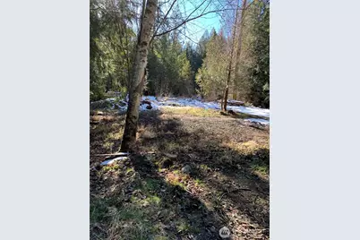 47 Xx 250th Avenue SE, Issaquah, WA 98029 - Photo 1