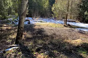 47 Xx 250th Ave SE, Issaquah, WA 98029 - Photo 1