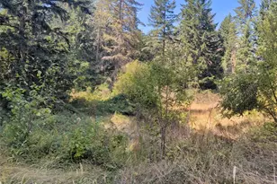 33118 68th Ave S, Roy, WA 98580 - Photo 1