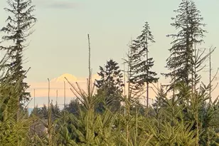 380 Hawkins Rd, Winlock, WA 98596 - Photo 1