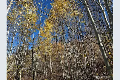 0 Tbd Evans Ranch Road, Omak, WA 98849 - Photo 1