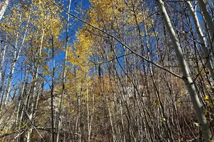 0 Tbd Evans Ranch Rd, Omak, WA 98849 - Photo 1