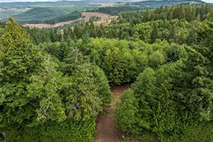 0 Mt Brynion Rd, Kelso, WA 98626 - Photo 1