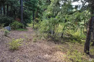 0 Highland Loop, Ronald, WA 98940 - Photo 1