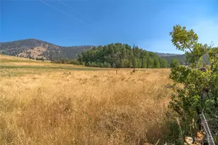 111 Fritz Rd, Riverside, WA 98849 - Photo 1