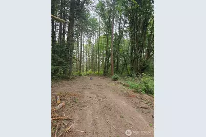 1725 Winlock Vader Road, Vader, WA 98596 - Photo 1