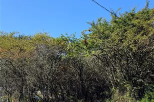 463 Marsh Rd, Point Roberts, WA 98281 - Photo 1