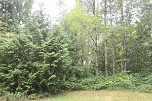 0 Alder Pl, Elma, WA 98541 - Photo 1