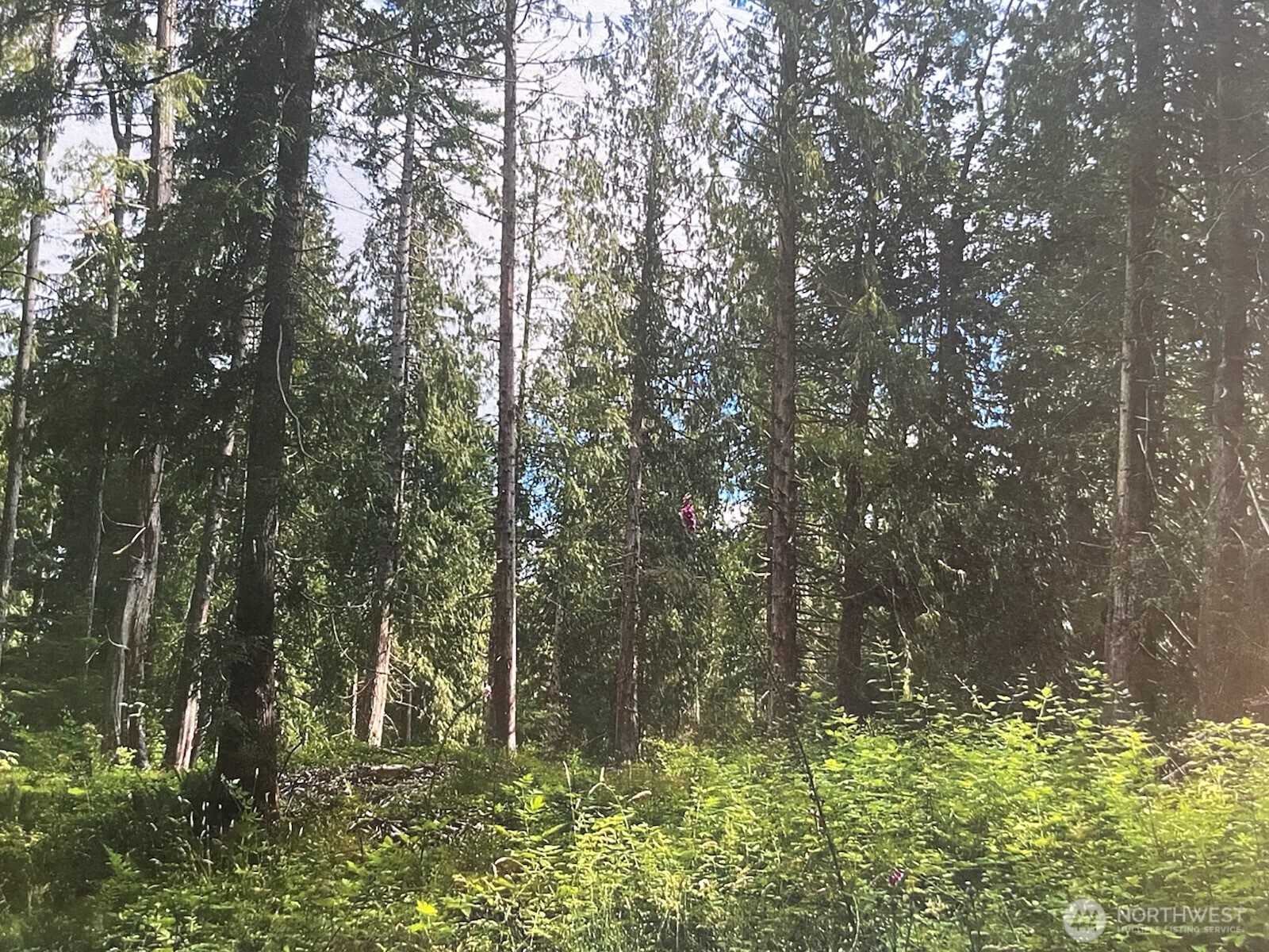 A secluded sanctuary nestled within the landscape