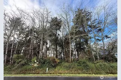 399 NE Duck Lake Drive, Ocean Shores, WA 98569 - Photo 1