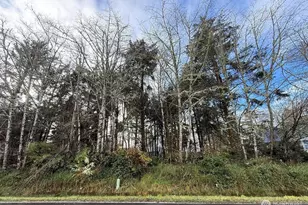 399 NE Duck Lake Dr, Ocean Shores, WA 98569 - Photo 1