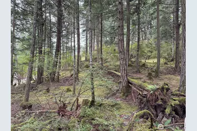 0 Diamond Hill Road, Orcas Island, WA 98245 - Photo 1